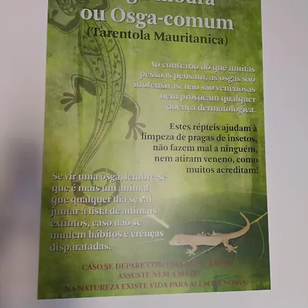 Vivenda Eiras 招待所