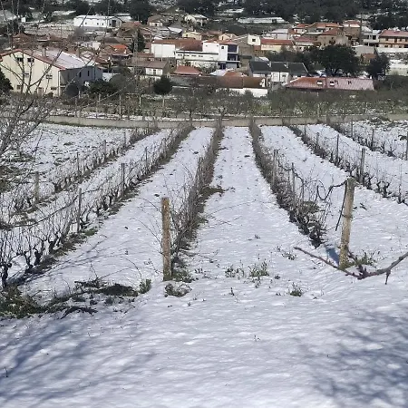 Vivenda Eiras 招待所 Vale de Porco (Braganca)