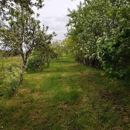 Vivenda Eiras 招待所 3*