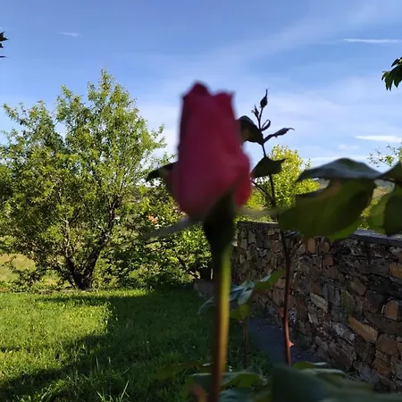 Vivenda Eiras بيت ضيافة