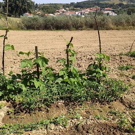 Gæstehus Vivenda Eiras 3*