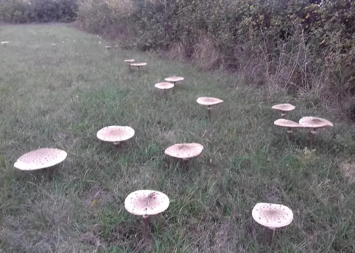 Vivenda Eiras 게스트하우스