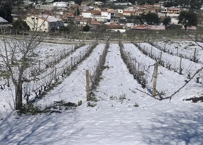 Vivenda Eiras 게스트하우스 Vale de Porco (Braganca)
