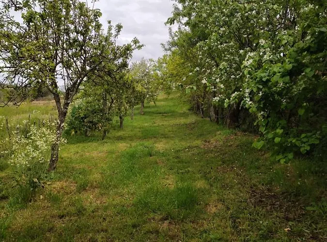 Vivenda Eiras ゲストハウス 3*