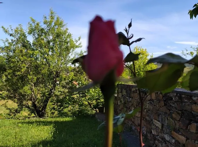 Vivenda Eiras 게스트하우스