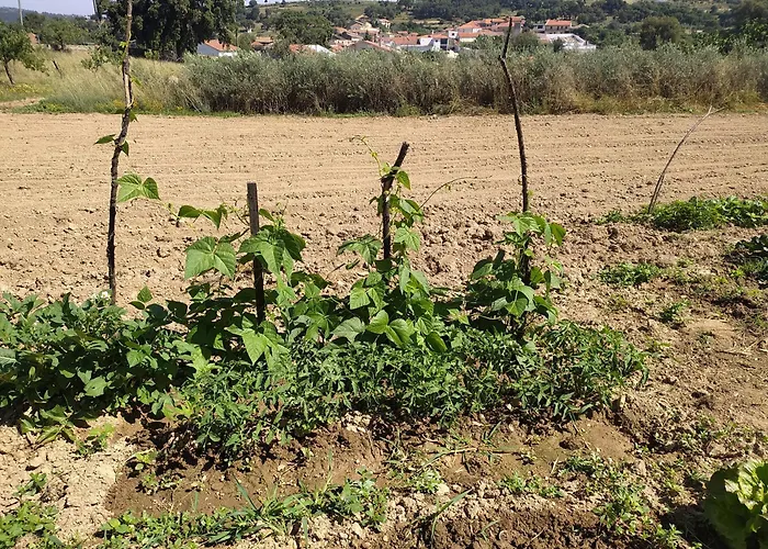 Gasthuis Vivenda Eiras 3*